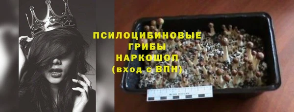 гидра Гусь-Хрустальный
