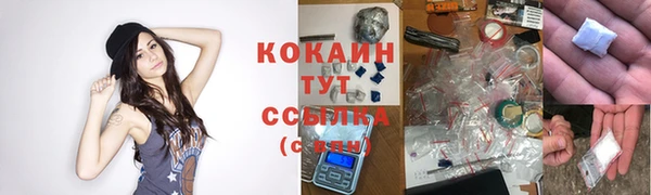 гидра Гусь-Хрустальный