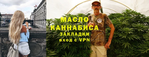 гидра Гусь-Хрустальный