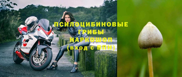 не бодяженный Гусиноозёрск