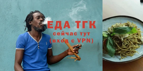 гидра Гусь-Хрустальный