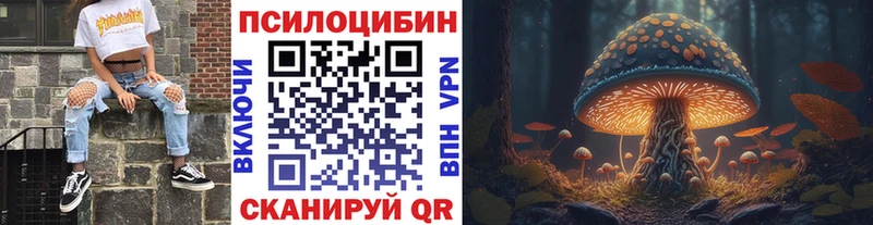 Псилоцибиновые грибы GOLDEN TEACHER  Купить  Петровск 